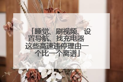 睡觉、刷视频、设置导航、找充电器 这些高速违停理由一个比一个离谱