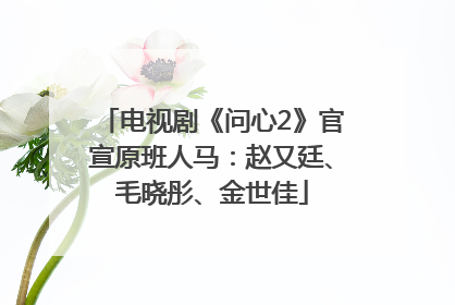 电视剧《问心2》官宣原班人马：赵又廷、毛晓彤、金世佳