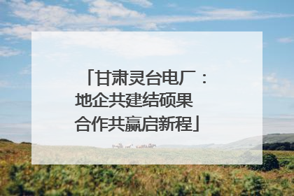 甘肃灵台电厂：地企共建结硕果 合作共赢启新程
