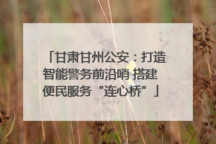 甘肃甘州公安：打造智能警务前沿哨 搭建便民服务“连心桥”