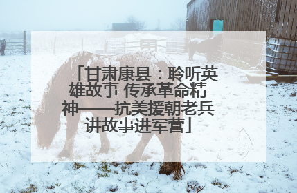 甘肃康县：聆听英雄故事 传承革命精神——抗美援朝老兵讲故事进军营