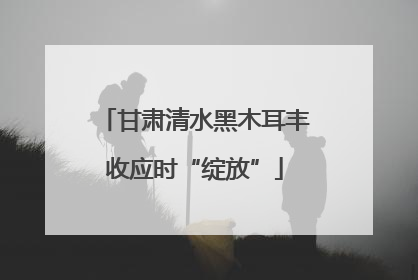 甘肃清水黑木耳丰收应时“绽放”