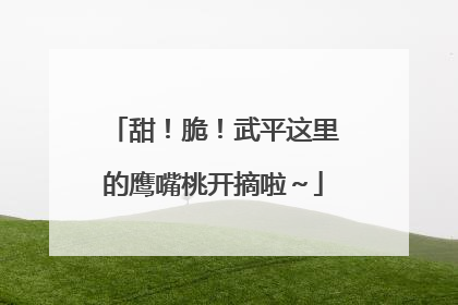 甜！脆！武平这里的鹰嘴桃开摘啦～