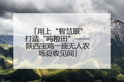 用上“智慧眼” 打造“吨粮田”——陕西宝鸡一座无人农场夏收见闻