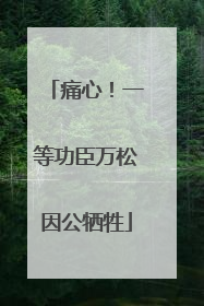 痛心！一等功臣万松因公牺牲