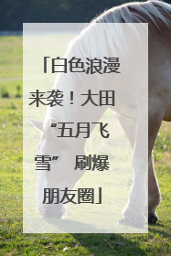 白色浪漫来袭！大田 “五月飞雪” 刷爆朋友圈