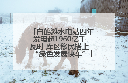 白鹤滩水电站四年发电超1960亿千瓦时 库区移民搭上“绿色发展快车”