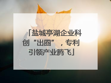盐城亭湖企业科创“出圈”，专利引领产业腾飞