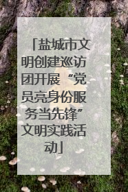 盐城市文明创建巡访团开展“党员亮身份服务当先锋”文明实践活动