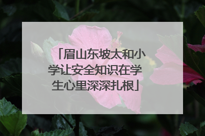 眉山东坡太和小学让安全知识在学生心里深深扎根