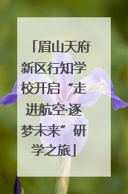 眉山天府新区行知学校开启“走进航空·逐梦未来”研学之旅