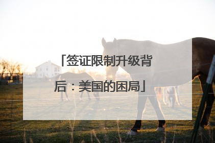 签证限制升级背后：美国的困局