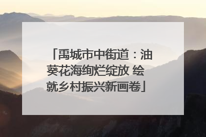 禹城市中街道：油葵花海绚烂绽放 绘就乡村振兴新画卷
