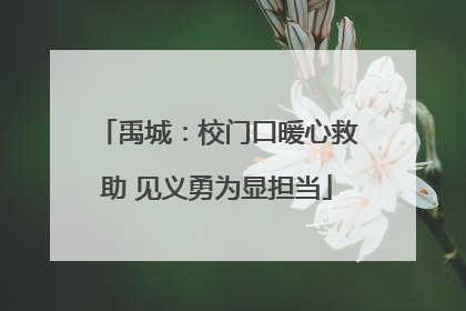 禹城：校门口暖心救助 见义勇为显担当