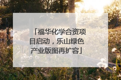福华化学合资项目启动，乐山绿色产业版图再扩容