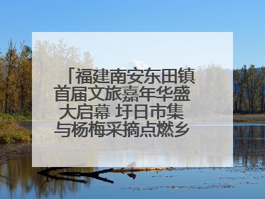 福建南安东田镇首届文旅嘉年华盛大启幕 圩日市集与杨梅采摘点燃乡村振兴新动能