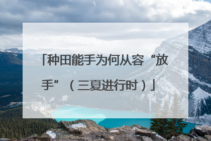 种田能手为何从容“放手”（三夏进行时）