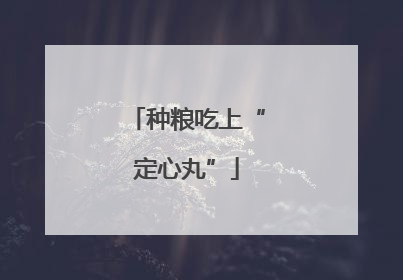 种粮吃上“定心丸”