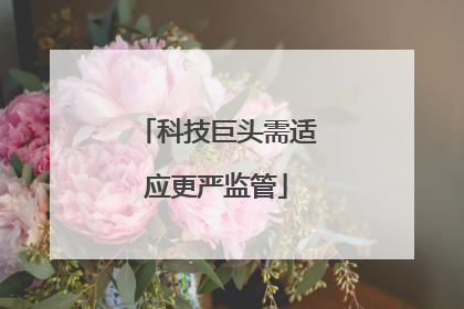 科技巨头需适应更严监管