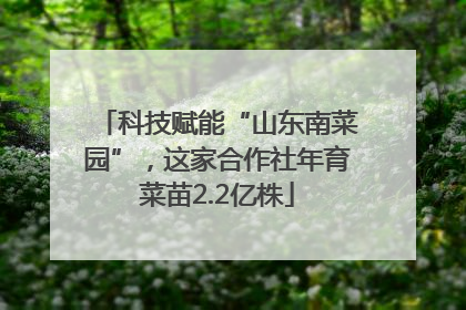 科技赋能“山东南菜园”，这家合作社年育菜苗2.2亿株