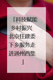 科技赋能乡村振兴 北京住建委下乡服务走进通州西集