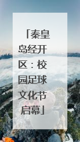 秦皇岛经开区：校园足球文化节启幕
