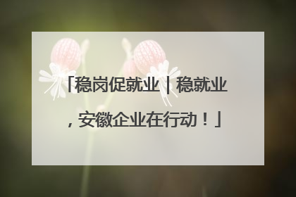 稳岗促就业｜稳就业，安徽企业在行动！