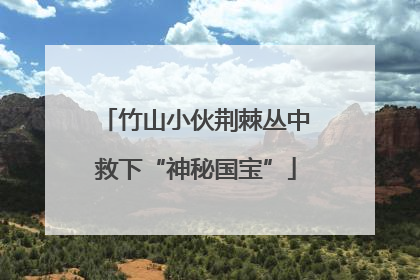 竹山小伙荆棘丛中救下“神秘国宝”