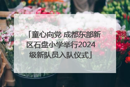 童心向党 成都东部新区石盘小学举行2024级新队员入队仪式