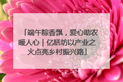 端午粽香飘，爱心助农暖人心｜亿膳坊以产业之火点亮乡村振兴路
