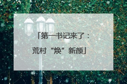 第一书记来了：荒村“焕”新颜