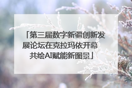 第三届数字新疆创新发展论坛在克拉玛依开幕 共绘AI赋能新图景