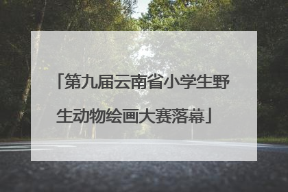 第九届云南省小学生野生动物绘画大赛落幕