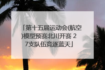 第十五届运动会(航空)模型预赛北川开赛 27支队伍竞逐蓝天