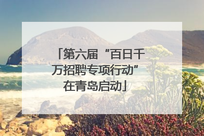 第六届“百日千万招聘专项行动”在青岛启动