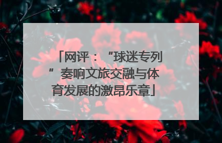 网评：“球迷专列”奏响文旅交融与体育发展的激昂乐章