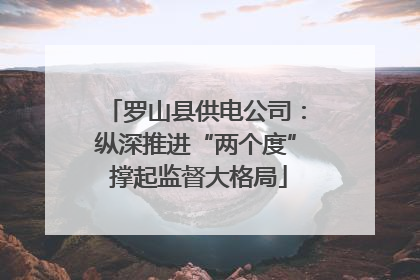 罗山县供电公司：纵深推进“两个度” 撑起监督大格局