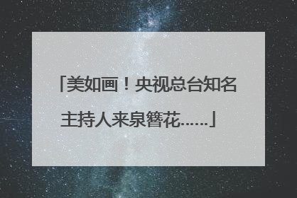 美如画！央视总台知名主持人来泉簪花……