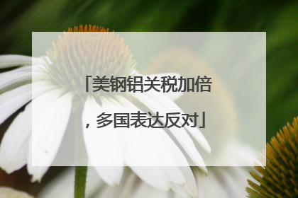 美钢铝关税加倍，多国表达反对