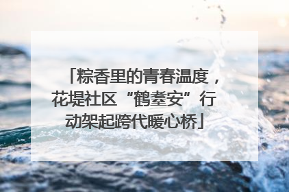 粽香里的青春温度，花堤社区“鹤耋安”行动架起跨代暖心桥