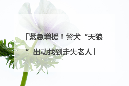 紧急增援！警犬“天狼”出动找到走失老人