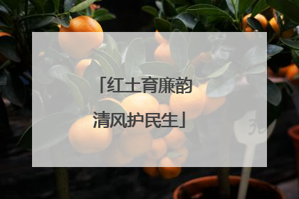 红土育廉韵 清风护民生