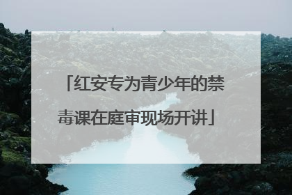 红安专为青少年的禁毒课在庭审现场开讲