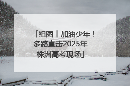 组图丨加油少年！多路直击2025年株洲高考现场