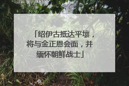 绍伊古抵达平壤，将与金正恩会面，并缅怀朝鲜战士