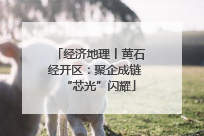 经济地理丨黄石经开区：聚企成链“芯光”闪耀
