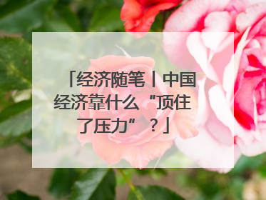经济随笔丨中国经济靠什么“顶住了压力”？