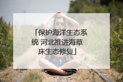 保护海洋生态系统 河北推进海草床生态修复