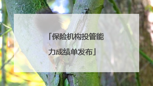保险机构投管能力成绩单发布