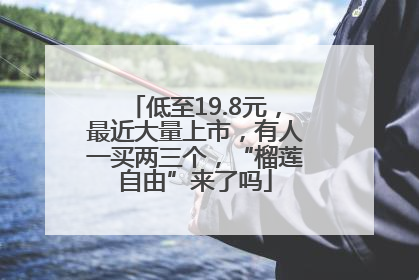 低至19.8元，最近大量上市，有人一买两三个，“榴莲自由”来了吗